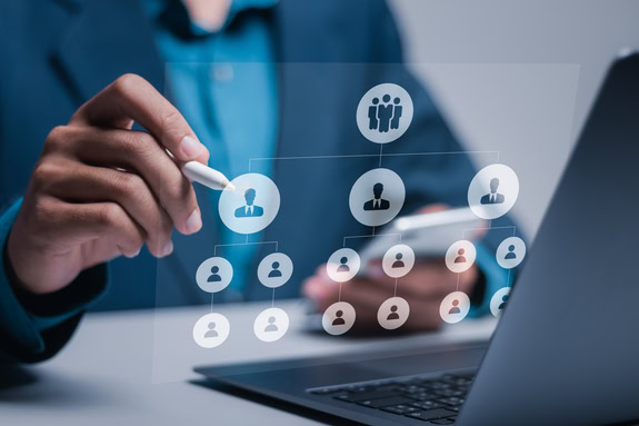 estrutura organizacional